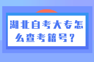 湖北自考大专怎么查考籍号？