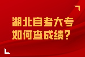 湖北自考大专如何查成绩？