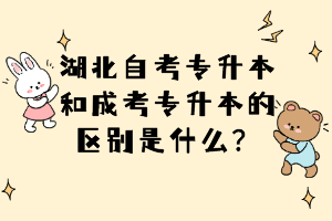 湖北自考专升本和成考专升本的区别是什么？