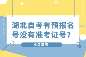 湖北自考有预报名号没有准考证号？