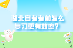 湖北自考考前怎么复习更有效率？