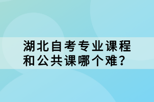 湖北自考专业课程和公共课哪个难？