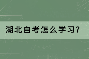 湖北自考怎么学习？