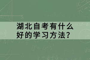 湖北自考有什么好的学习方法？