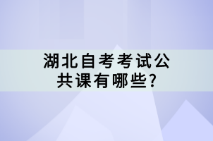 湖北自考考试公共课有哪些?