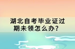 湖北自考毕业证过期未领怎么办？