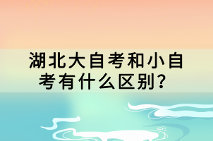 湖北大自考和小自考有什么区别？