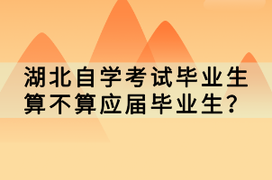 湖北自学考试毕业生算不算应届毕业生？