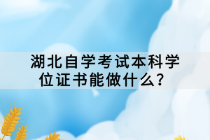 随着社会的发展和科技的进步，越来越多的人选择通过自学考试来提升自己的学历和能力。湖北自学考试作为一项重要的教育考试，对于广大自学考试生来说具有重要意义。那么，湖北自学考试本科学位证书能做什么？
