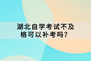 湖北自学考试不及格可以补考吗？