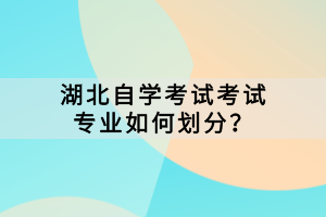 湖北自学考试考试专业如何划分？