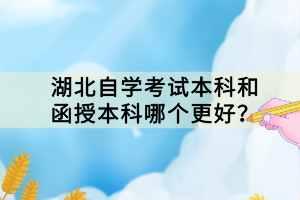 湖北自学考试本科和函授本科哪个更好？