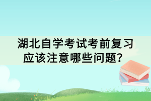 湖北自学考试考前复习应该注意哪些问题？