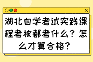 湖北自学考试实践课程考核都考什么？怎么才算合格？