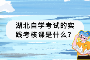 湖北自学考试的复习方法有哪几种？