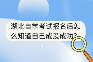 湖北自学考试报名后怎么知道自己成没成功？