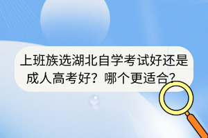 上班族选湖北自学考试好还是成人高考好？哪个更适合？