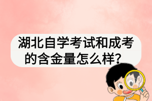 本科生可以报考参加湖北自学考试吗？