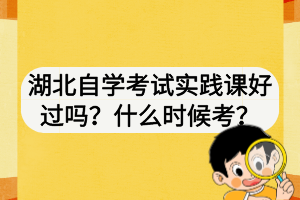 湖北自学考试实践课好过吗？什么时候考？