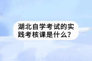 湖北自学考试的实践考核课是什么？