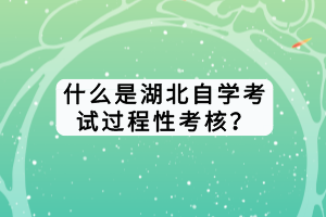 什么是湖北自学考试过程性考核？