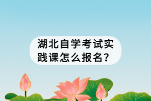 湖北自学考试实践课怎么报名？