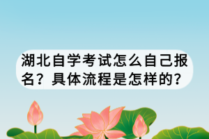 湖北自学考试怎么自己报名？具体流程是怎样的？