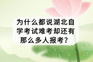 为什么都说湖北自学考试难考却还有那么多人报考？