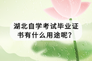 湖北自学考试毕业证书有什么用途呢？