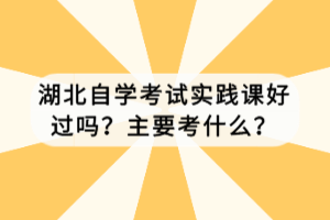 湖北自学考试实践课好过吗？主要考什么？