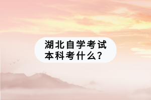 湖北自学考试本科考什么？