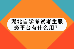 湖北自学考试考生服务平台有什么用？