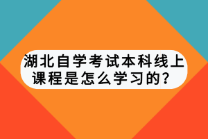 湖北自学考试本科线上课程是怎么学习的？