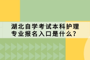 湖北自学考试本科护理专业报名入口是什么？