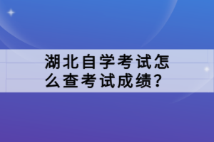 湖北自学考试怎么查考试成绩？