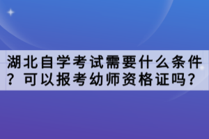 湖北自学考试需要什么条件？可以报考幼师资格证吗？