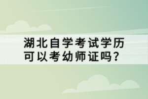 湖北自学考试学历可以考幼师证吗？