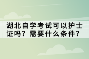 湖北省高等教育自学考试服务平台官网是什么？