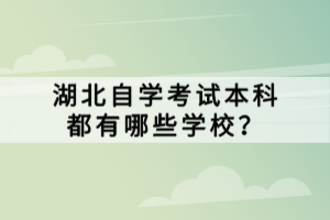 湖北自学考试本科都有哪些学校？