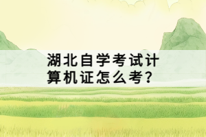 湖北自学考试计算机证怎么考？