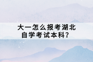 大一怎么报考湖北自学考试本科？