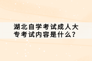 湖北自学考试成人大专考试内容是什么？