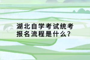 湖北自学考试统考报名流程是什么？