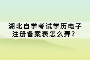 湖北自学考试学历电子注册备案表怎么弄？