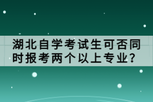 湖北自学考试生可否同时报考两个以上专业？