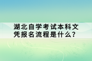 湖北自学考试本科文凭报名流程是什么？