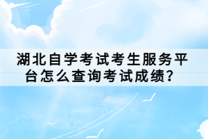 湖北自学考试考生服务平台怎么查询考试成绩？