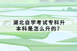 湖北自学考试专科升本科是怎么升的？