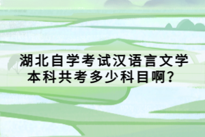 湖北自学考试汉语言文学本科共考多少科目啊？