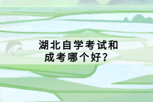 湖北自学考试和成考哪个好？